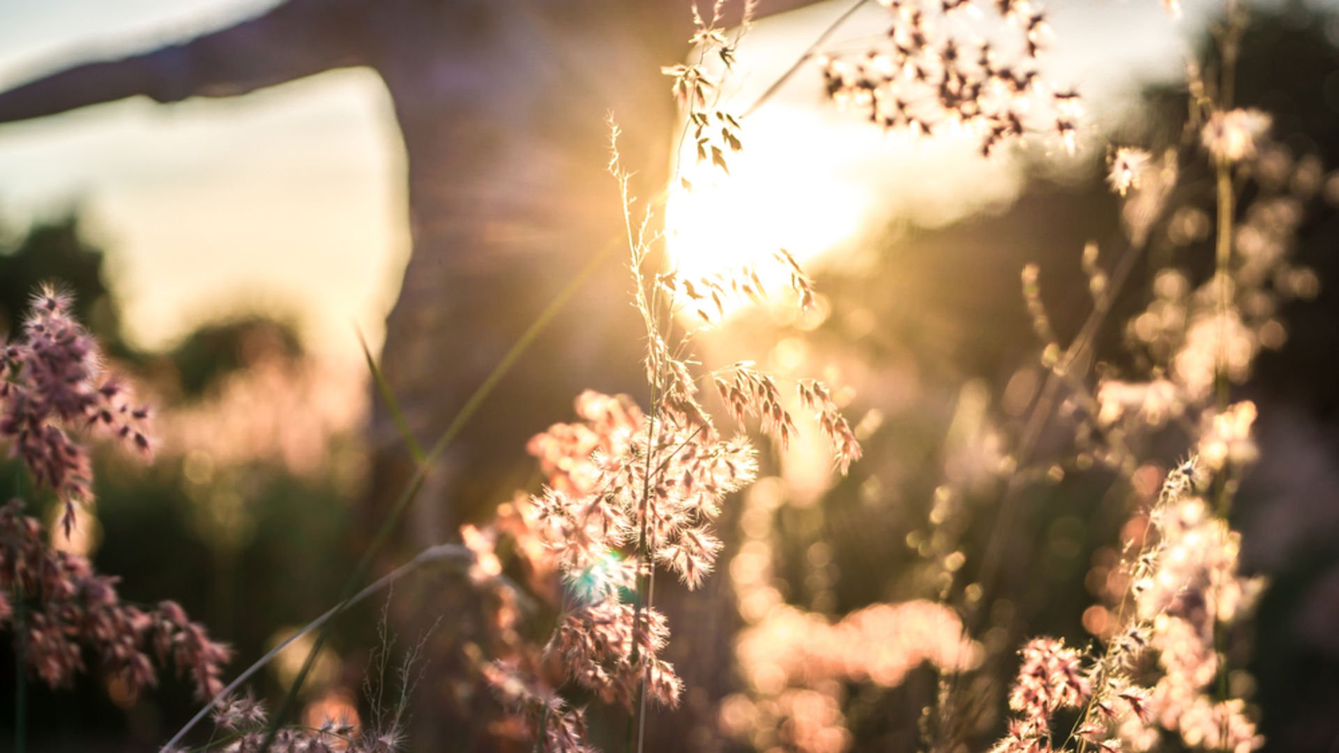 Kendini gerçekleştirme nedir?