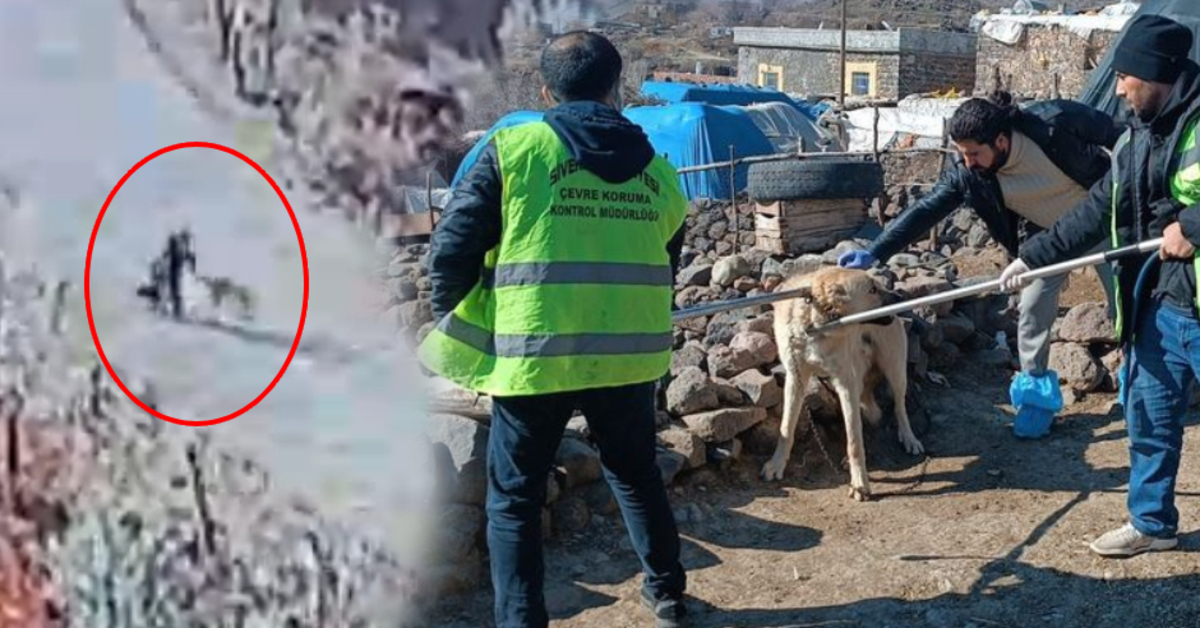Siverek’te kuduz köpek saldırısı kamerada: Bölge karantinaya alındı!